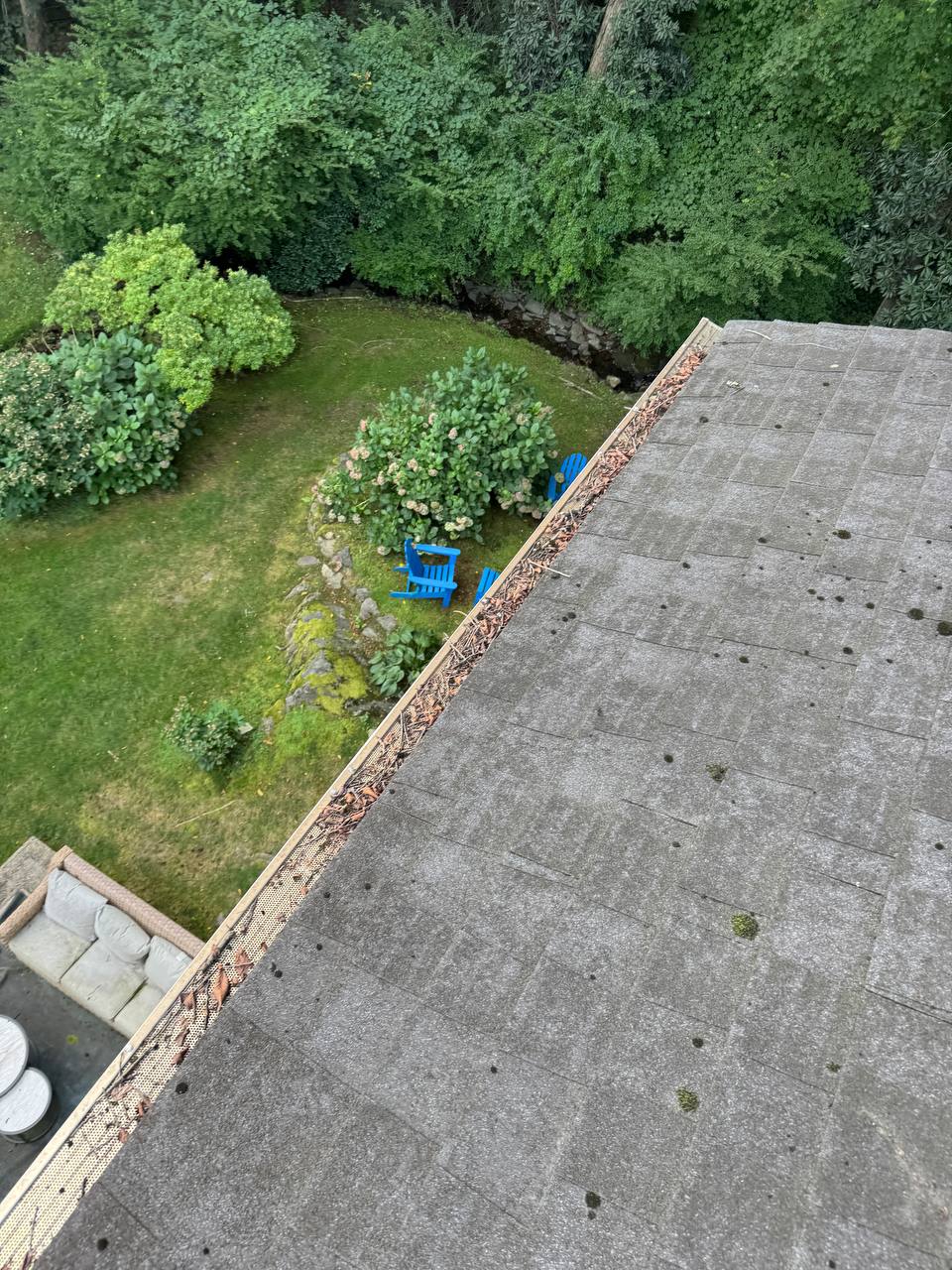 Debris buildup along gutter guards